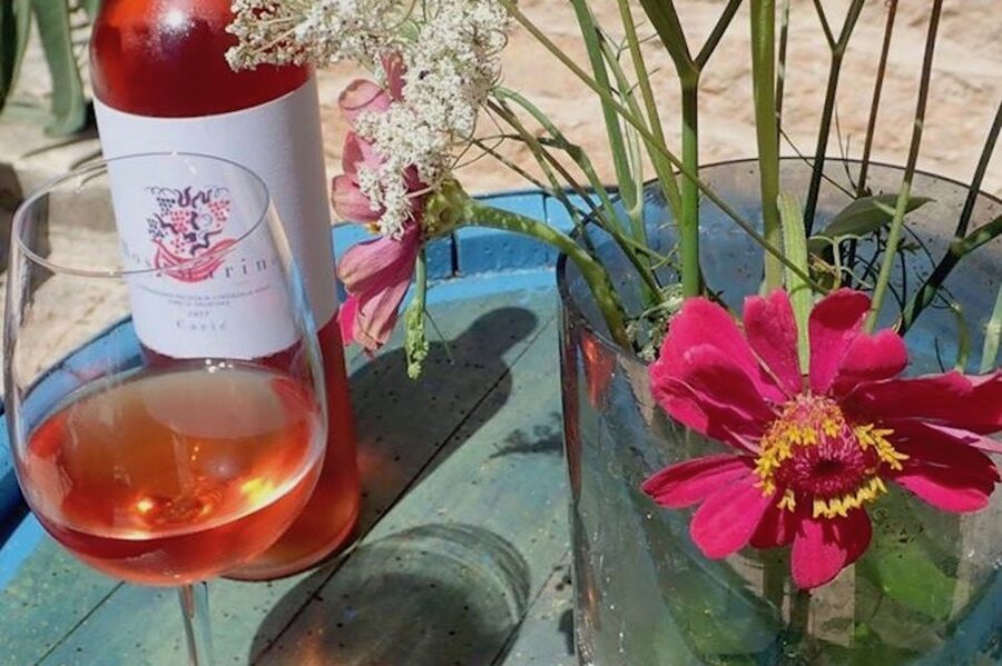 Hvar: Wine Lovers Tour to 3 Wineries with Local Tastings - How the Tastings and Appetizers Actually Help You Learn