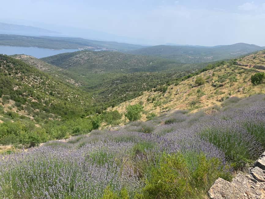 Hvar Wine Tour + Dalmatian Dinner - Scenic breaks around Hvar’s viewpoints and small chapels