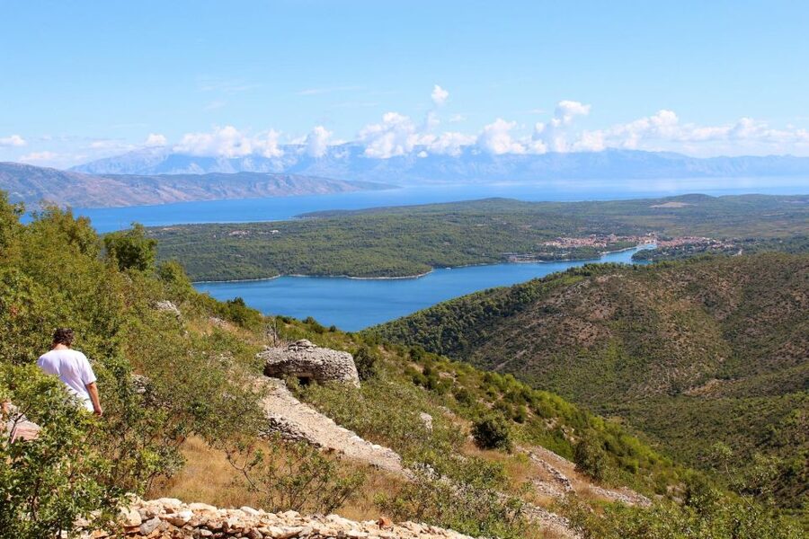 Hvar Wine Tour + Dalmatian Dinner - Dalmatian dinner: Gregada, Pašticada, and the kind of dessert that changes daily