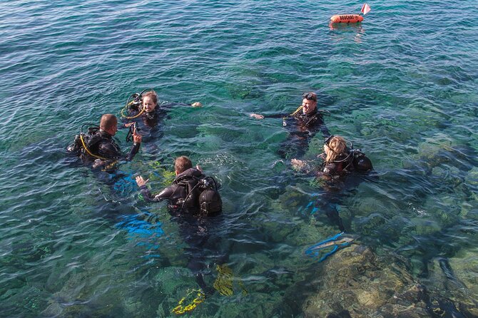 Intro Dive in Dubrovnik - First-time comfort in Dubrovnik, with a short, simple schedule
