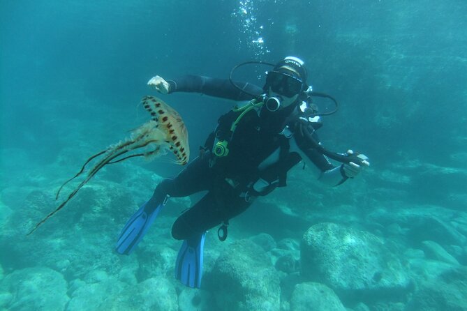 Intro Dive in Dubrovnik - Price and value: what $120.29 really covers
