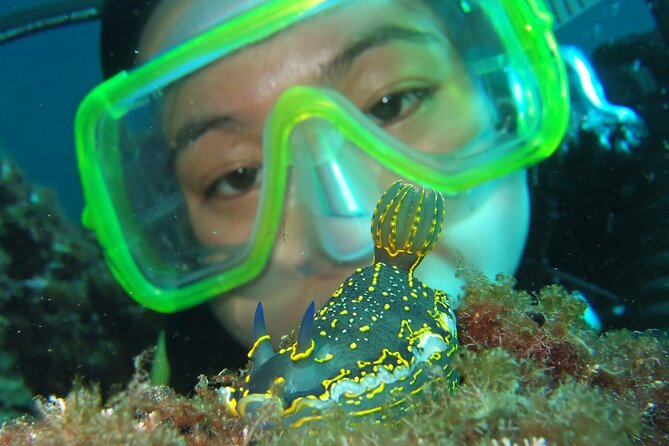 Intro Dive in Dubrovnik - Your first shore session to 6 meters, with 45 minutes of learning time