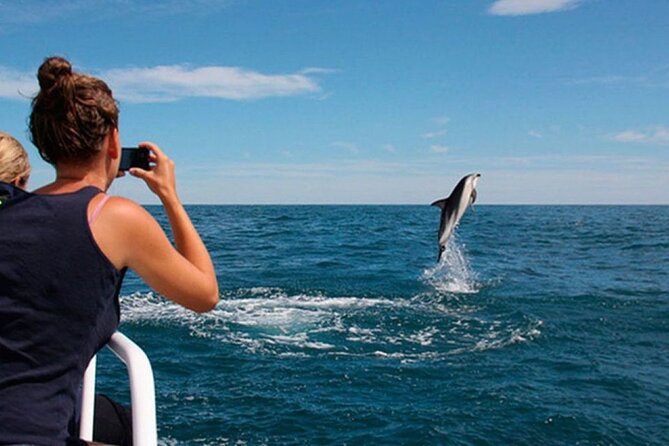 Island Visit National Park Brijuni & Dolphin Cruise - Key highlights worth planning around