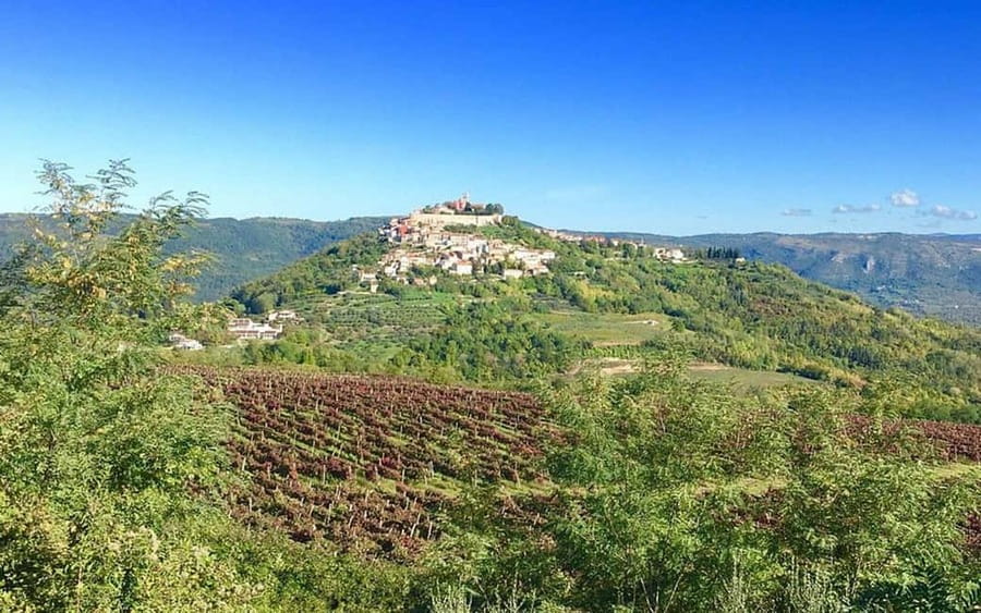 Istria: Guided Tour of Inner Istria with Food Tasting - Free time in Motovun: lunch options and how to use it well