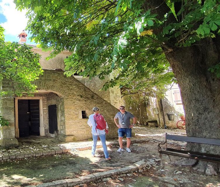 Istria: Guided Tour of Inner Istria with Food Tasting - Who this tour suits best, and who should skip it