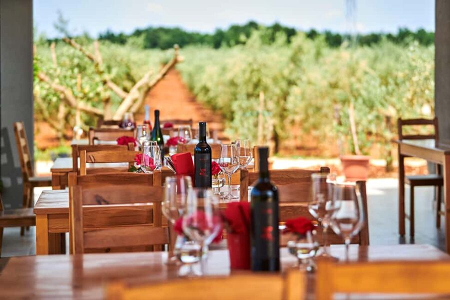 Istria: Pervino wine tasting - Picking your wines from 17 options, then tasting 6