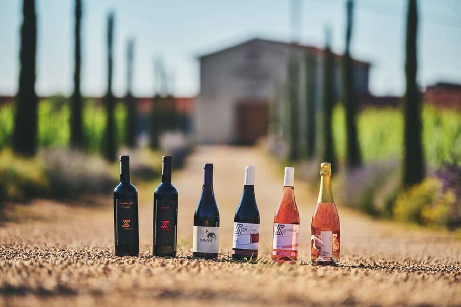 Istria: Pervino wine tasting - The olive oil and antipasti moment that makes the tasting feel complete