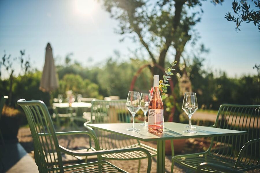 Istria: Pervino wine tasting - Last three wines: where adjustment and preference really pay off