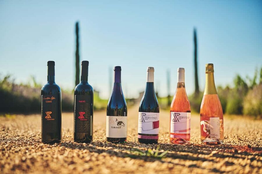 Istria: Pervino wine tasting - The vibe: cozy, friendly, and pet-welcome