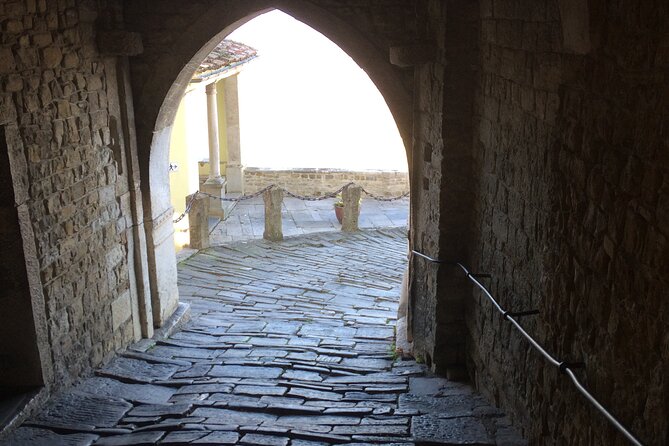 Istria Private Day Trip - Roman and Venetian Architecture, How Your Guide Connects the Dots