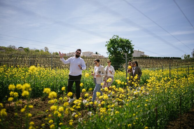 Istria Wine Tour from Rijeka and Opatija - Key highlights I’d circle