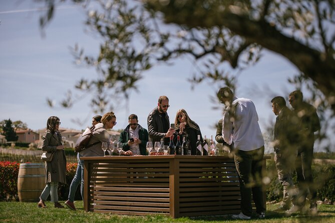 Istria Wine Tour from Rijeka and Opatija - The driving factor: why Toni makes or breaks a day like this