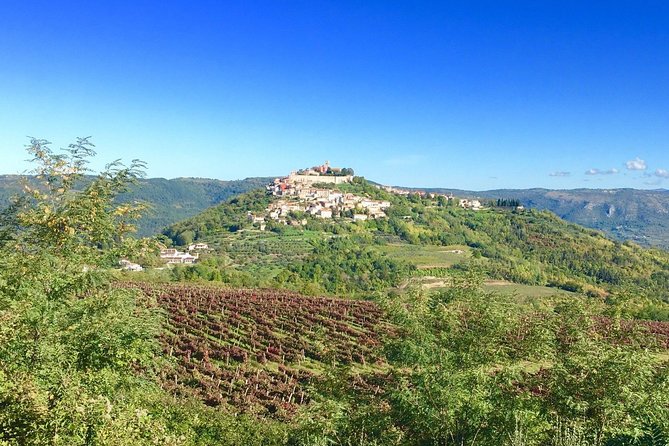 Istrian hill top cities tour with truffle and olive oil tasting - Stop 1, Limski fjord: a 10-minute photo moment with real atmosphere