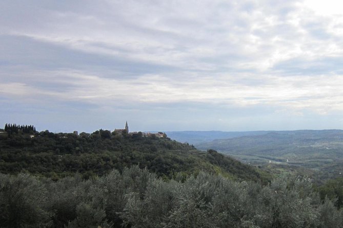 Istrian hill top cities tour with truffle and olive oil tasting - Truffle and olive oil tasting: what to expect and how to get the most