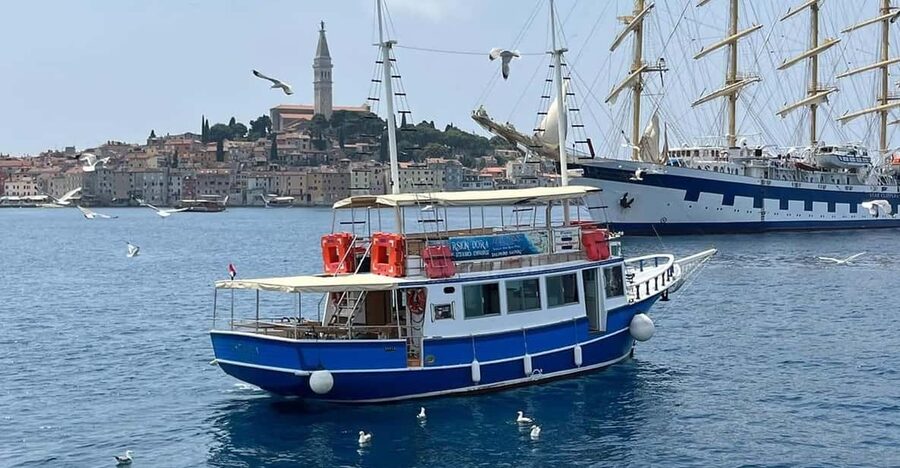 Izlet brodom iz Vrsara: Zalazak sunca i druženje s delfinima - Dolphin watching in the Istrian archipelago, what to expect