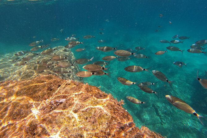Kamenjak Nature Park: Kayak Tour with Snorkeling & Cave Exploring - Price and value: what you are paying for, and what costs extra