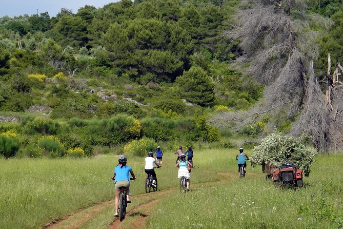 Kayak and Bike Tour to Sipan island from Lopud - Key things to know before you go