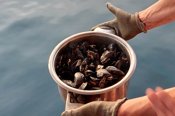 Kayaking and mussels tasting at Krka River estuary-private tours - Cliff Jumping and Snorkeling Breaks: The Fun Part, with Practical Limits