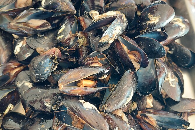 Kayaking and mussels tasting at Krka River estuary-private tours - Visiting the Shell Farm: Why This Tastes Local, Not Just Tourist-Focused