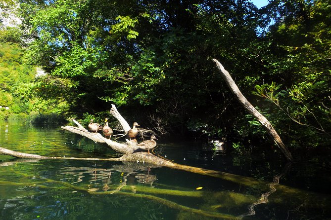 Kayaking and Snorkeling in Omiš - Kayaking and Snorkeling in Omiš: Why This Combo Works So Well