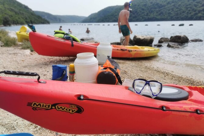 Kayaking Experience in Lim Bay Sea in The Croatian Fjord - What’s Included in the Ticket, and Why $65.90 Feels Reasonable