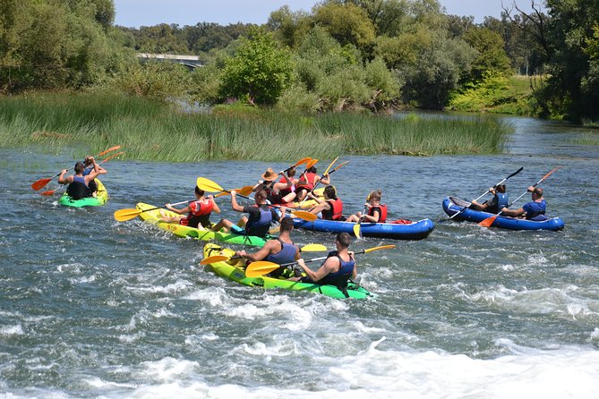 Kayaking - Kayak tour Karlovac - The 3-Hour Timing, Why This Feels Like a Perfect Half-Day