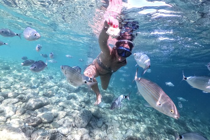 Kayaking to Island Saint Jerolim with snorkeling activitie - Price and Value: Is $77.11 Worth It?