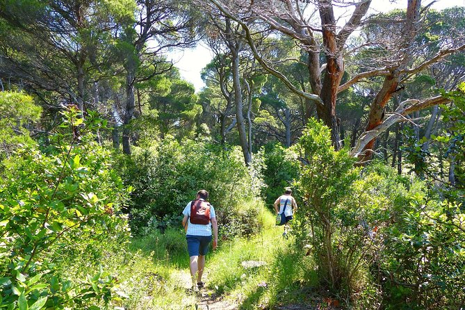 Kolocep Island Hiking and Swimming Full Day Trip from Dubrovnik - The Best Midday Break: Secluded Swim and Cliff Jumping Option