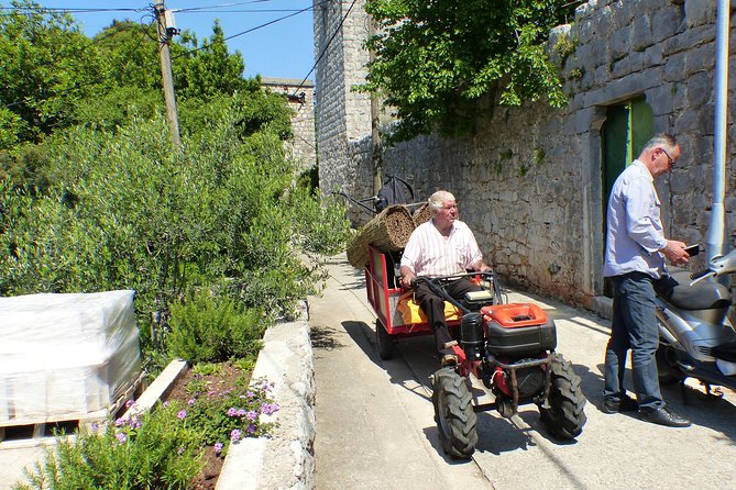 Kolocep Island Hiking and Swimming Full Day Trip from Dubrovnik - Price and Value: Is $105.86 a Fair Deal?