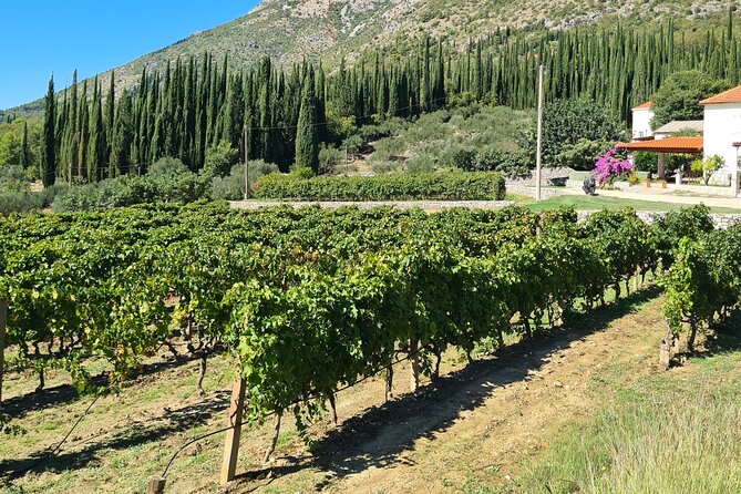 Konavle Gastro & Culture Tour (Private Tour) - Stop 3: Pridvorje Franciscan monastery for calmer, cultural contrast