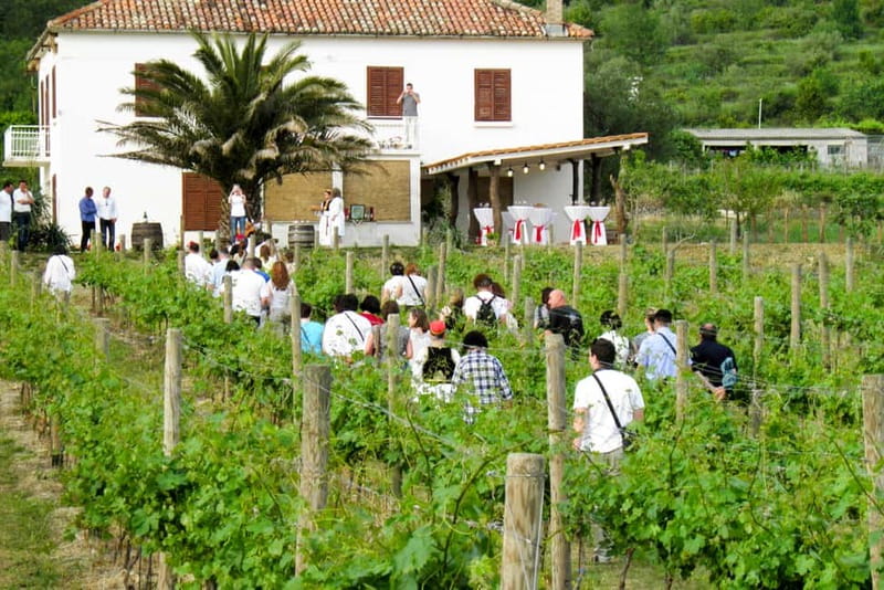 Konavle Valley: Tour with Wine Tasting from Dubrovnik - The first village stop: quick sightseeing, a real welcome, and wine
