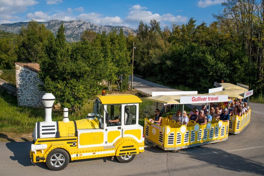 Konavle Valley: Tour with Wine Tasting from Dubrovnik - The short train ride through vineyard country, and why it works