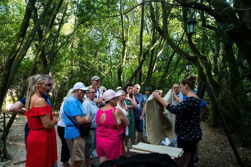 Konavle Valley: Tour with Wine Tasting from Dubrovnik - Price and value for a 6-hour Konavle day trip