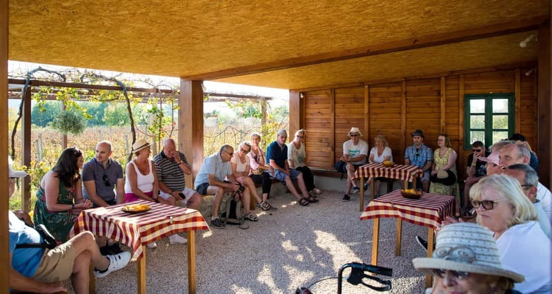 Konavle Valley: Tour with Wine Tasting from Dubrovnik - Who this tour is best for, and who should skip it