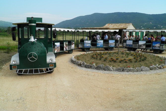 Konavle Valley Wine Tour from Dubrovnik with Train Ride and Wine Tasting - Zastolje and Brajković cellar: where the day starts with grapes