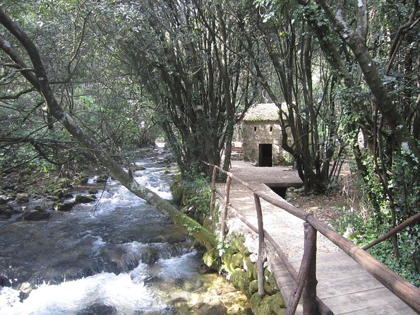 Konavle Valley Wine Tour from Dubrovnik with Train Ride and Wine Tasting - Value for $96.12: what you’re actually getting