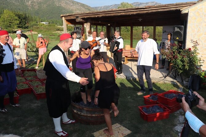 Konavle wine tasting tour from Dubrovnik with 2 vinery's - Getting there from Dubrovnik: pickup, guiding style, and small-group vibe