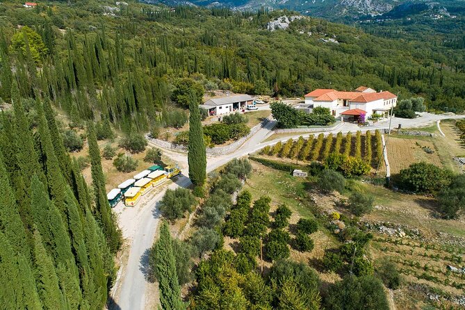 Konavle wine tasting tour from Dubrovnik with 2 vinery's - What to pack and how to plan your tasting day
