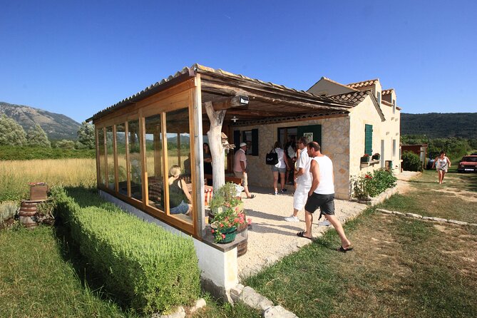 Konavle wine tasting tour from Dubrovnik with 2 vinery's - Who this Konavle tour suits best, and who might want a different plan