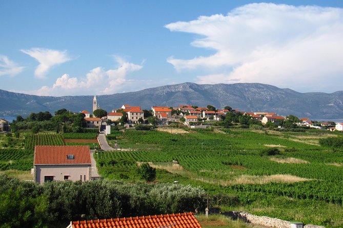 Korcula Bike & Wine Tour | Wine Tasting in Lumbarda - What to Know Before You Book: Fit, Heat, and Bike Style