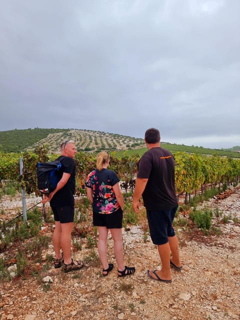 Korcula: Buggy Safari with Local Food and Wine Tasting - Who this buggy safari suits best, and who should pass