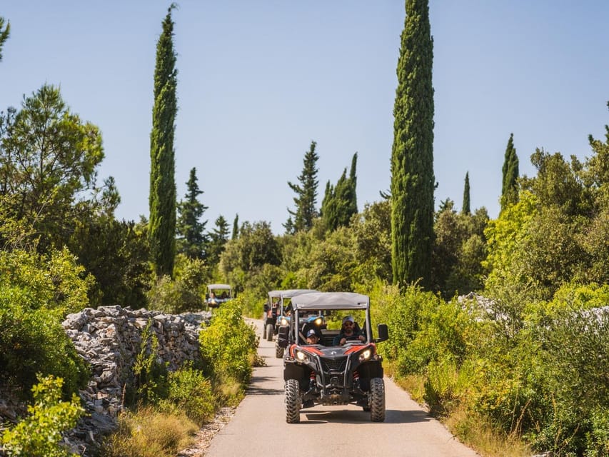 Korcula Buggy Safari With Wine Tasting - From Korčula pickup to buggy safari mode