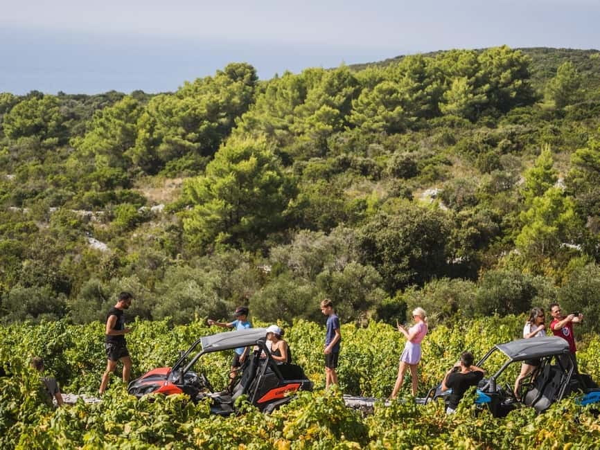 Korcula Buggy Safari With Wine Tasting - Group pace, comfort, and what to pack for 4 hours outside