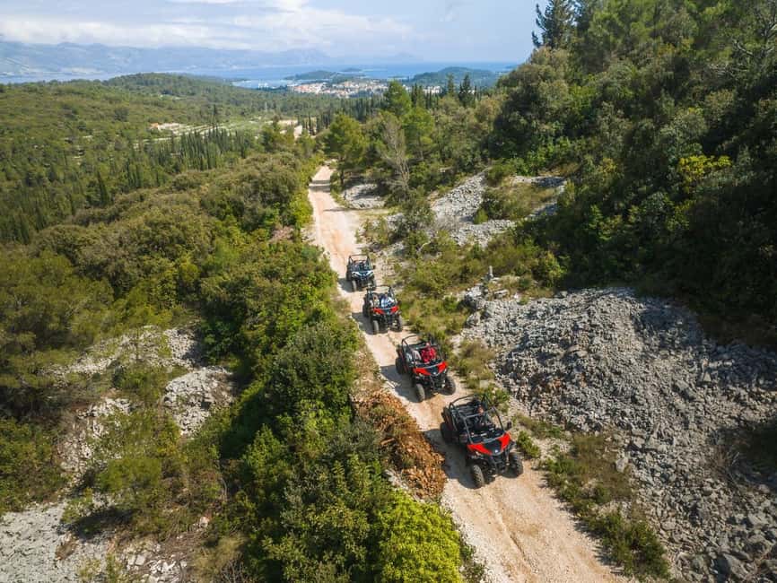 Korcula Buggy Safari With Wine Tasting - Olive groves, vineyards, and the fun of small-road travel