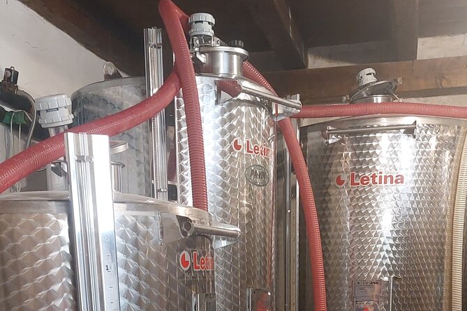 Korčula for Wine Lovers - Pošip and Grk Wines Private Tour - Stop 2, Tasovac Vinery: a restored house, indoor or outdoor tasting, and a snack