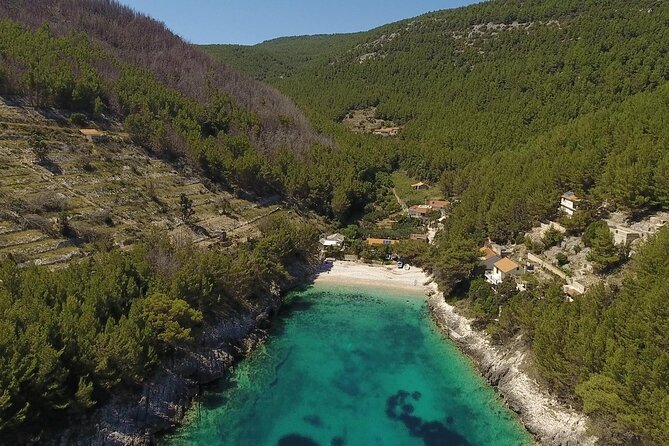 Korcula Island Mountain E Bike Private tour with lunch - Agrotourism and Wine Tasting: Why This Stop Lands