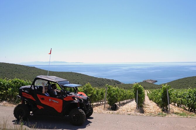 Korcula Island Private Buggy Beach Hunting Safari with lunch - Key points at a glance