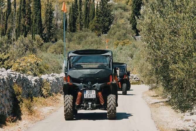 Korcula Island Private Buggy Beach Hunting Safari with lunch - The Pržina sandy beach stop: swim, snorkel, and slow down