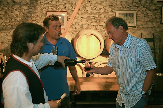 Korcula Island Private Sightseeing Tour Including Wine Tasting - Old Town Korčula and the Marco Polo Museum, in a Smart, Time-Friendly Package