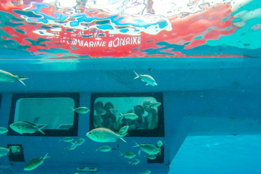 Korcula: Semi-Submarine Tour - Meeting point at Korcula East Port, where to find the right boat